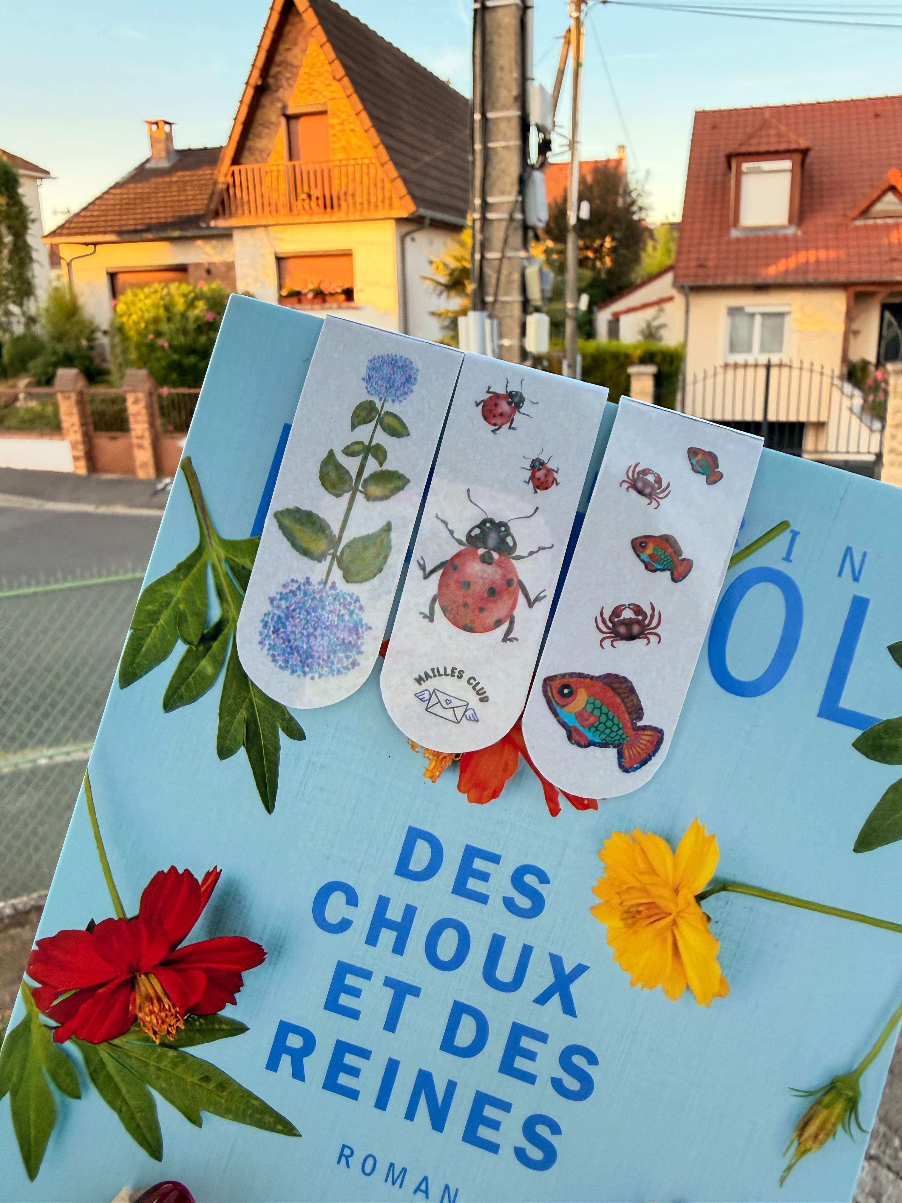 Marque-Page Magnétique Coccinelle