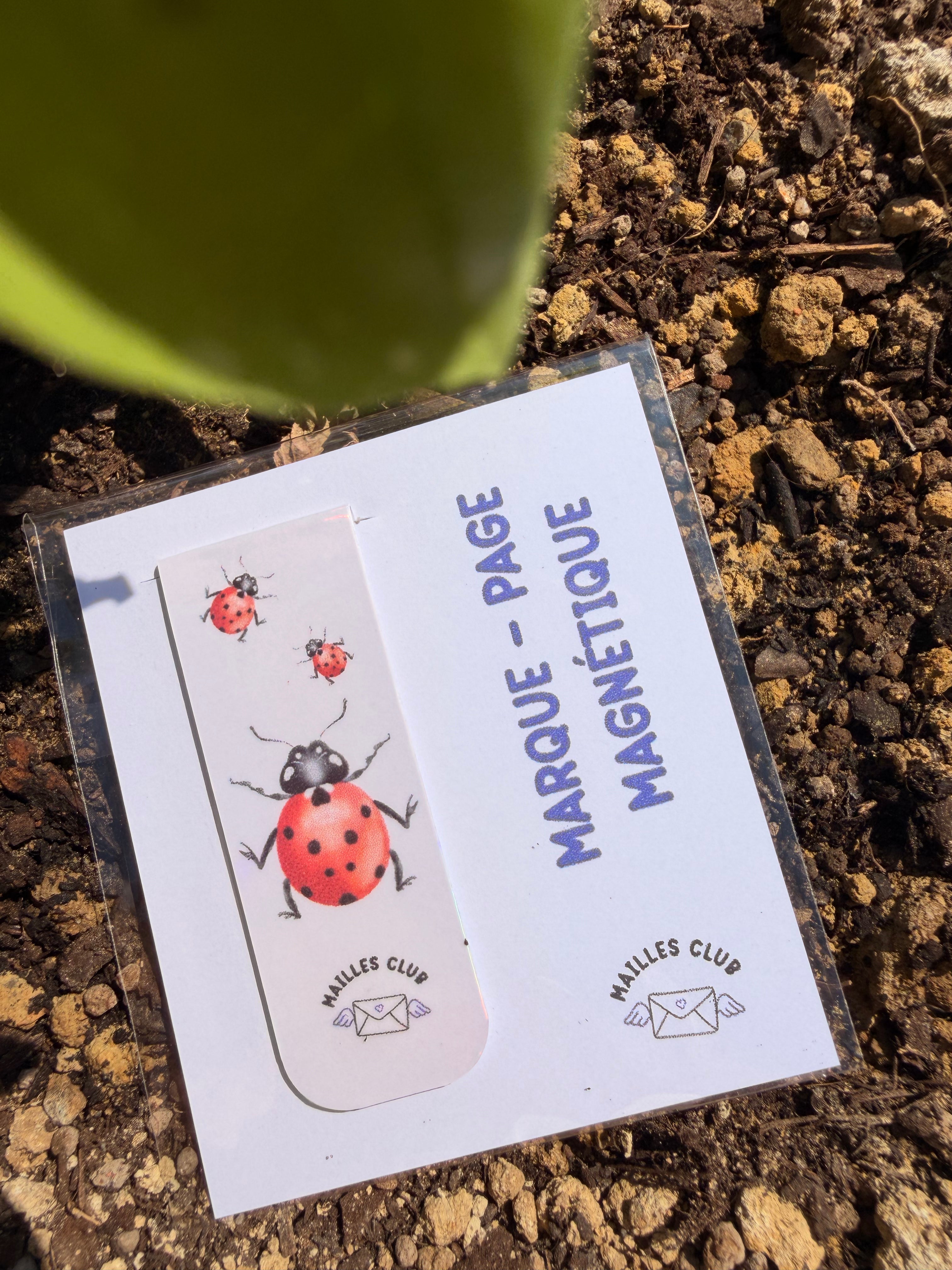 Marque-Page Magnétique Coccinelle