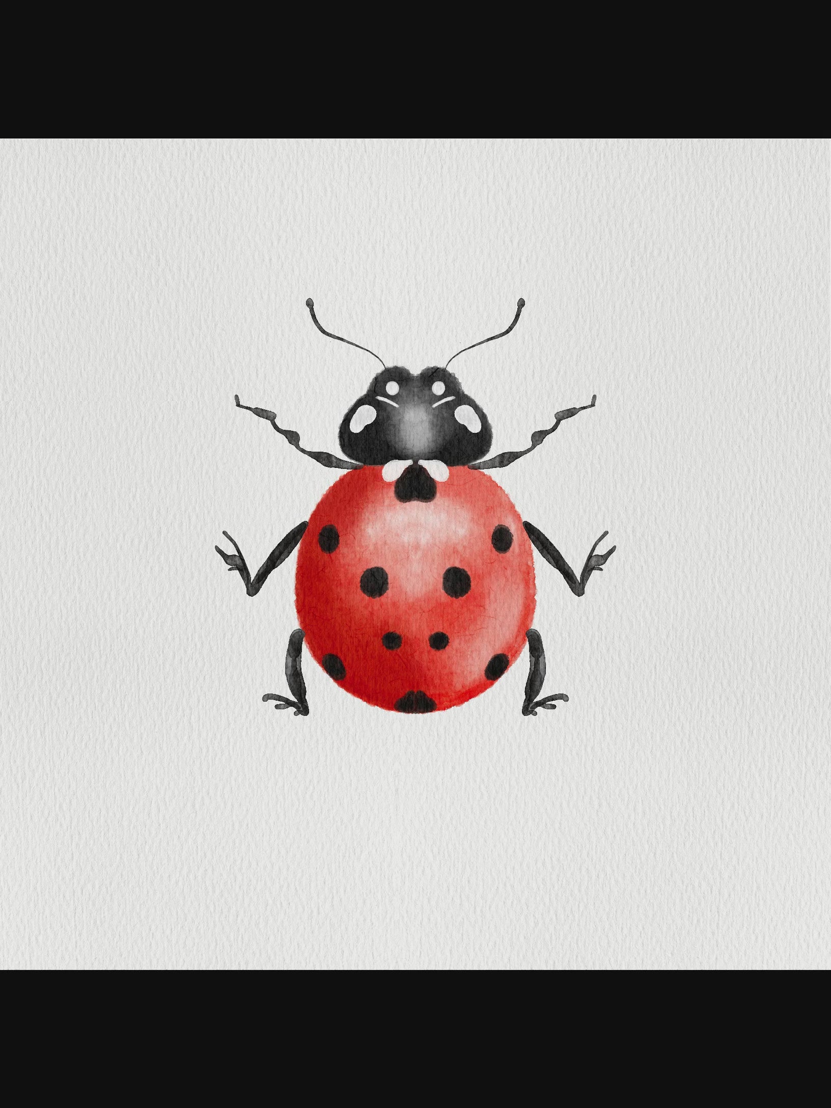 Marque-Page Magnétique Coccinelle